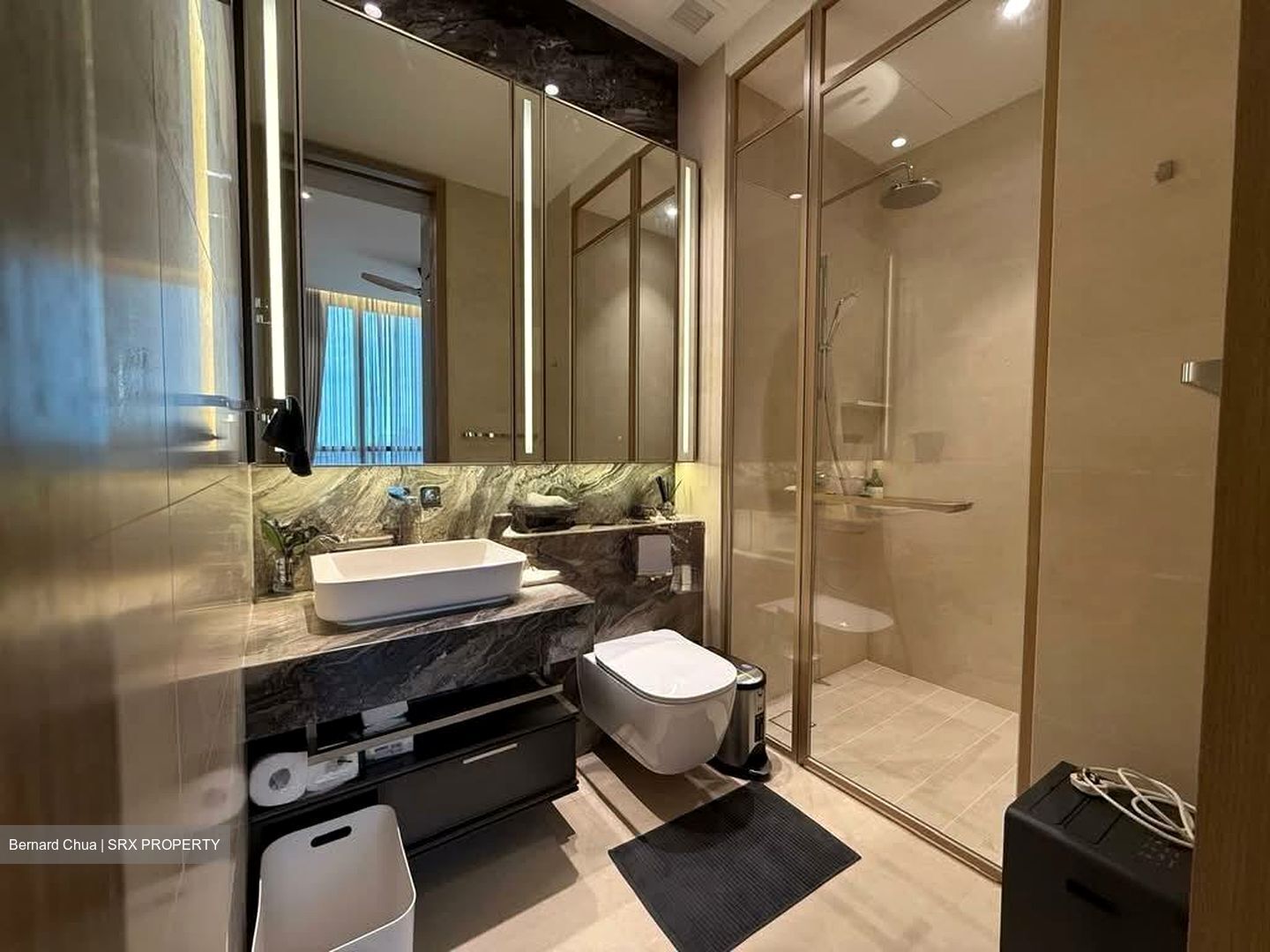 The Avenir (D9), Condominium #529282771